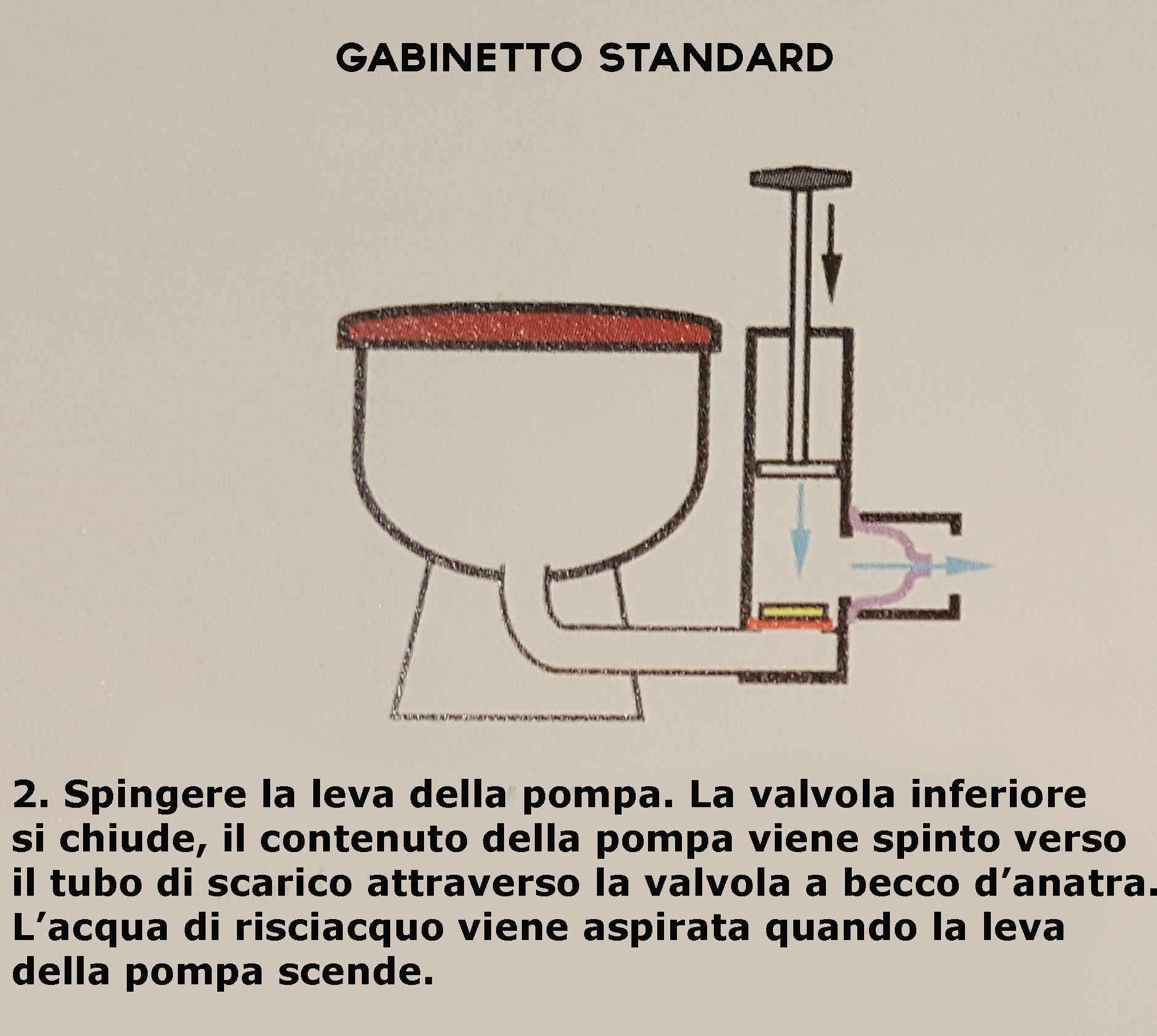 standard 2