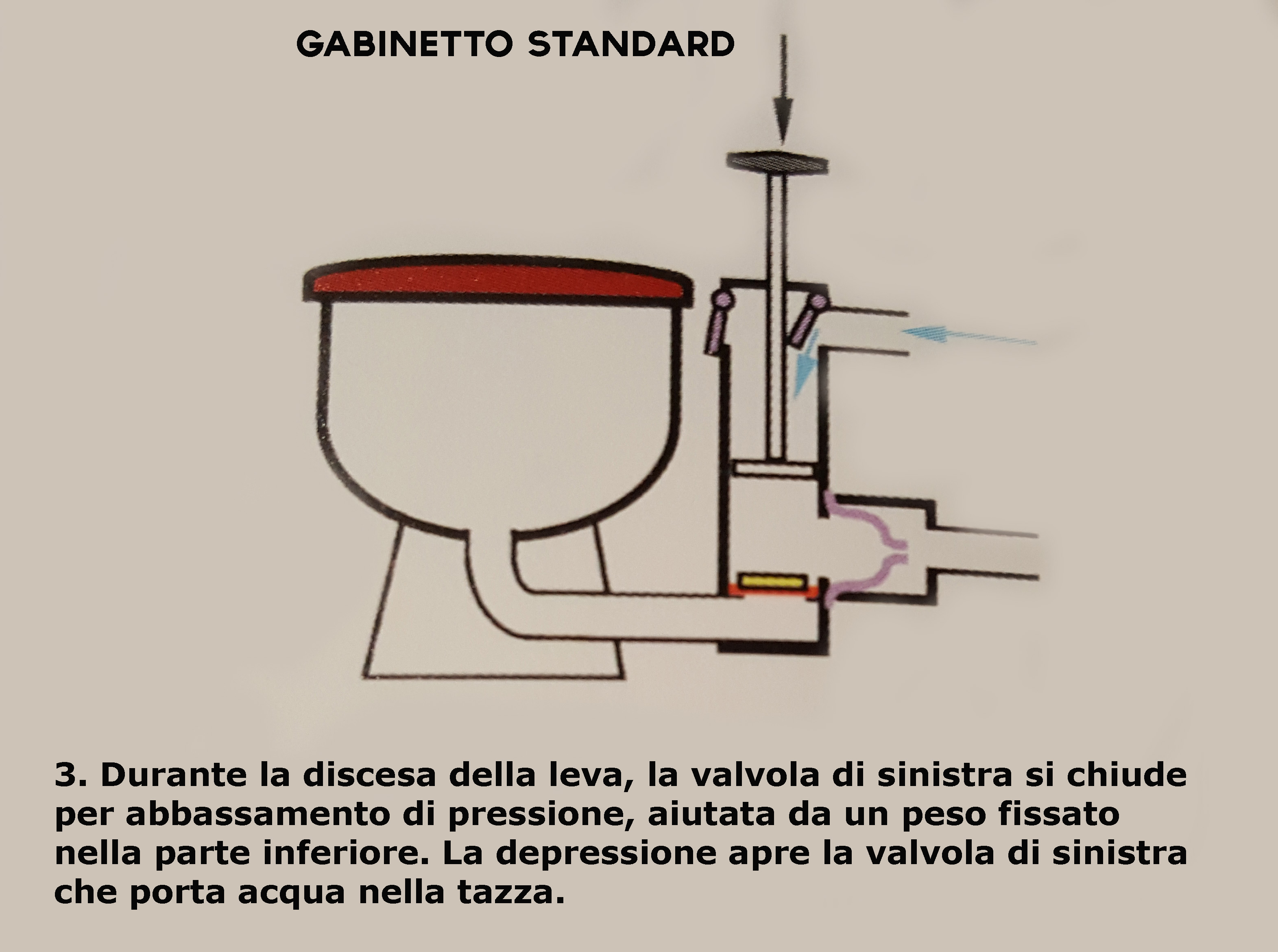 standard 3